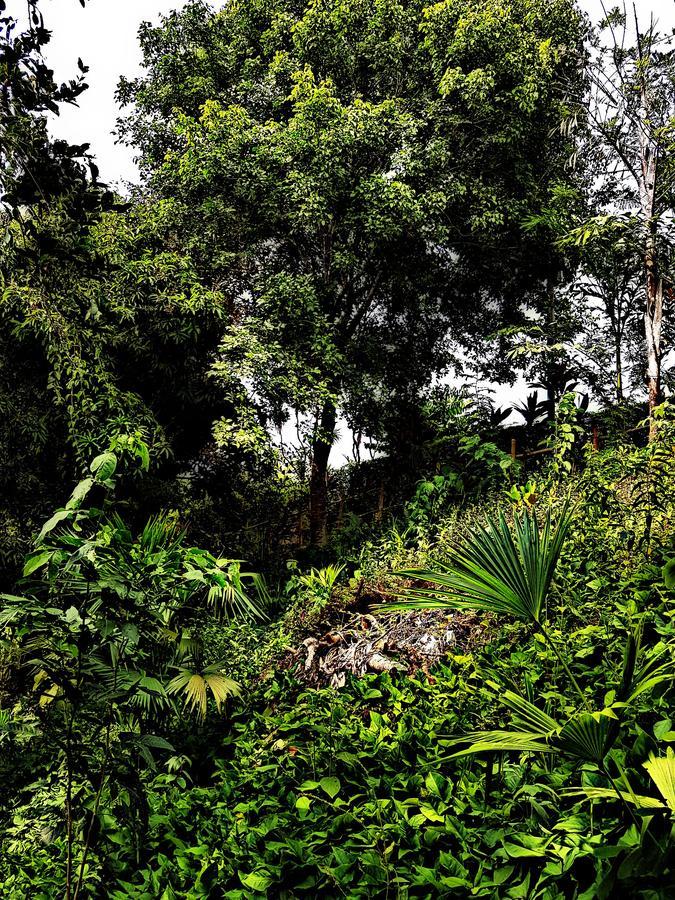 Akainoie Minca Exterior foto