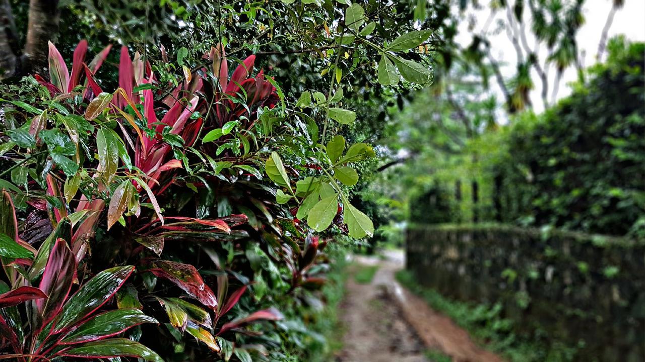 Akainoie Minca Exterior foto